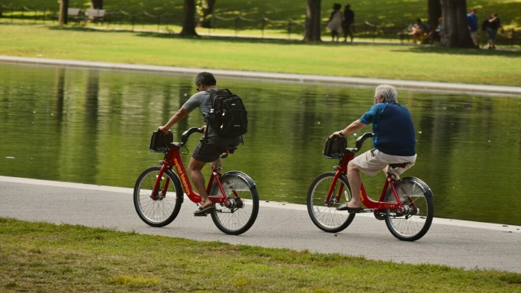 duas pessoas andando de bicicleta no parque